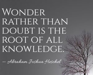 wonder-rather-than-doubt-is-the-root-of-all-knowledge-abraham-joshua-heschel