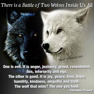 two wolves: good and evil