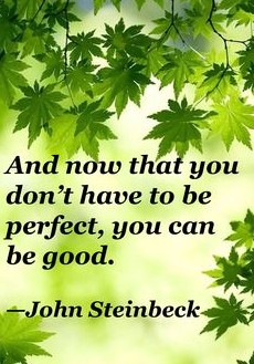 and now that you don't have to be perfect, you can be good